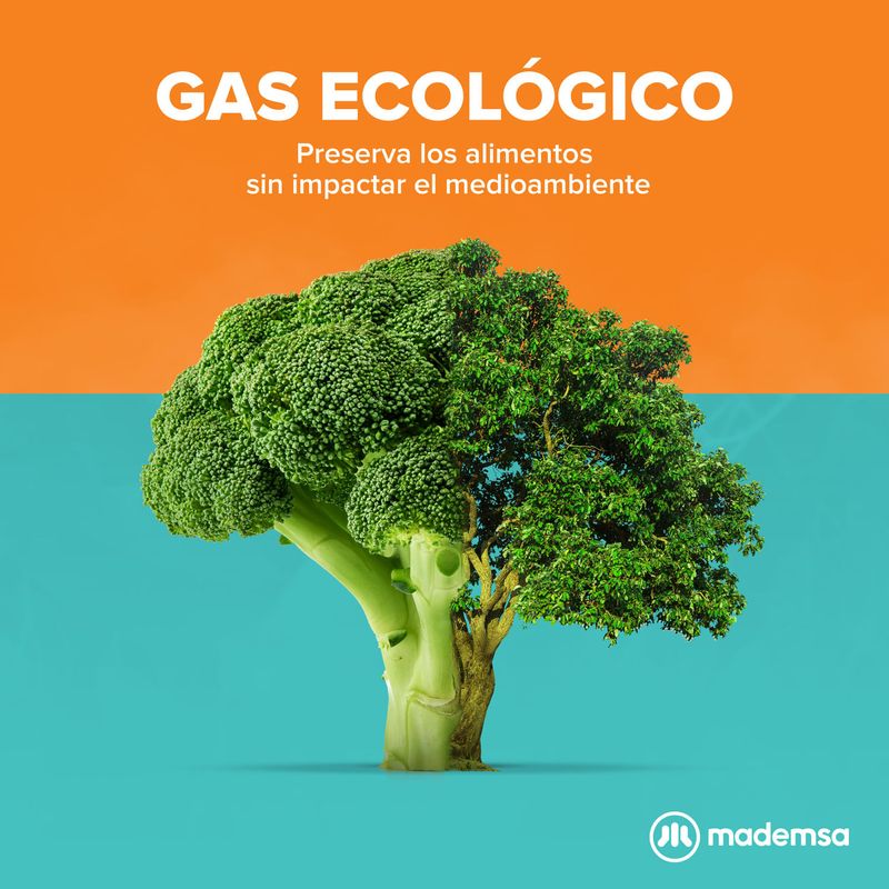 GasEcologico