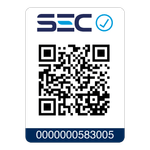 19.--Hidrolavadora-Efficient-EasyWash--QWS1650--Electrolux-QR--2000px