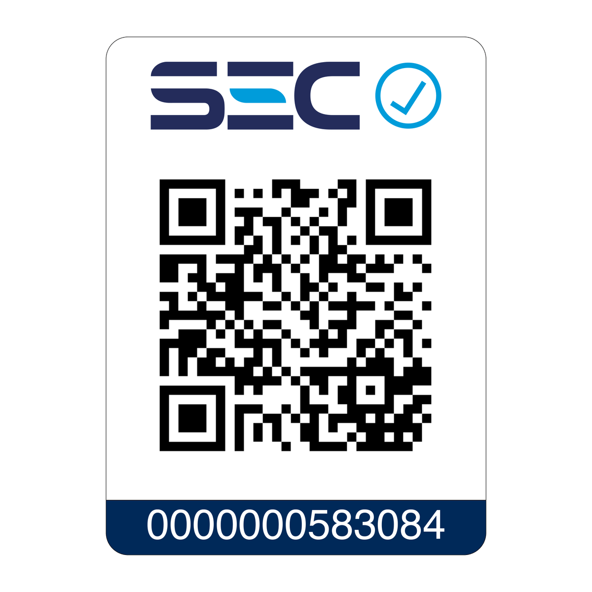 11.--Steamer-Electrolux-QR-EPS10-2000px