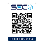 11.--Steamer-Electrolux-QR-EPS10-2000px