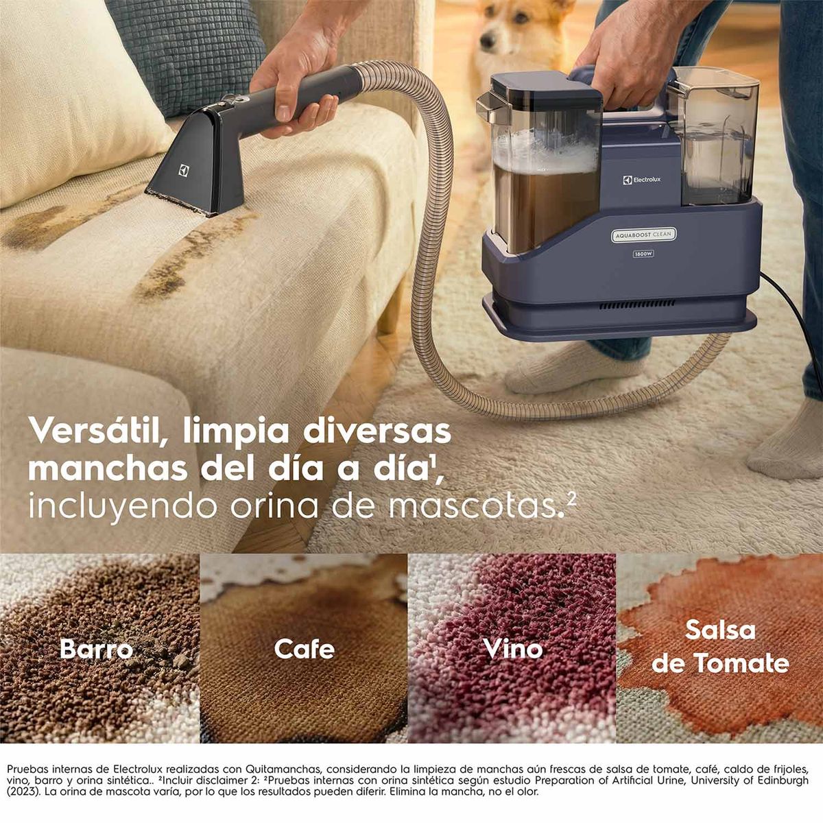 12.--Aspiradora-Lava-Tapiz-ESC10-Electrolux-Quita-manchas-2--1500px